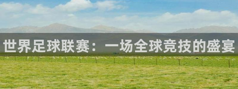 世界足球联赛：一场全球竞技的盛宴