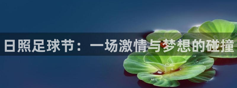 日照足球节：一场激情与梦想的碰撞