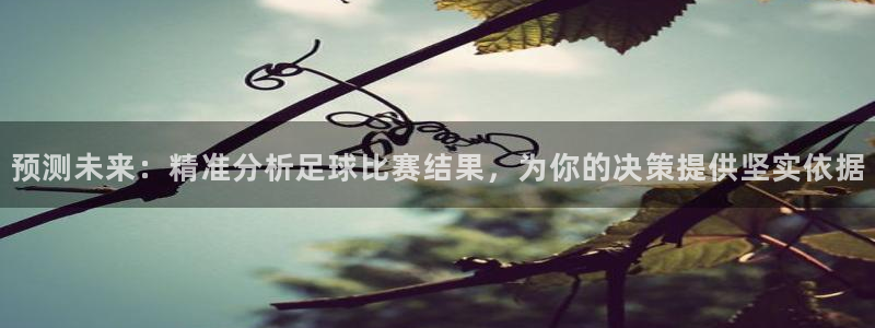 预测未来：精准分析足球比赛结果，为你的决策提供坚实依据