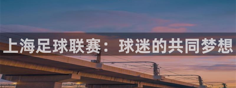  上海足球联赛：球迷的共同梦想
