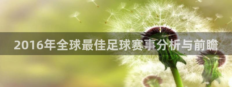  2016年全球最佳足球赛事分析与前瞻