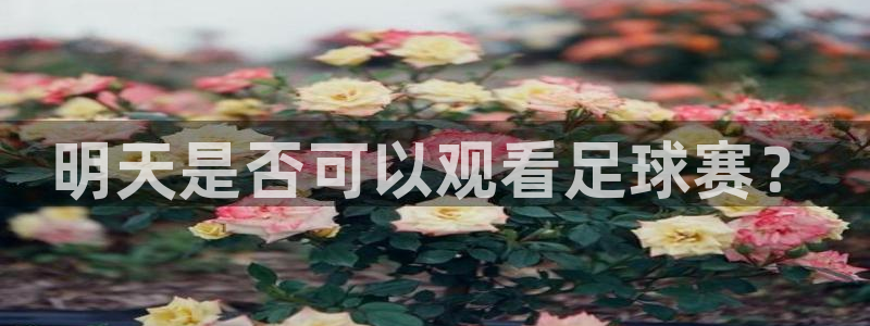 明天是否可以观看足球赛？