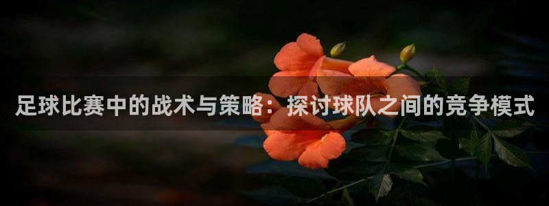  足球比赛中的战术与策略：探讨球队之间的竞争模式