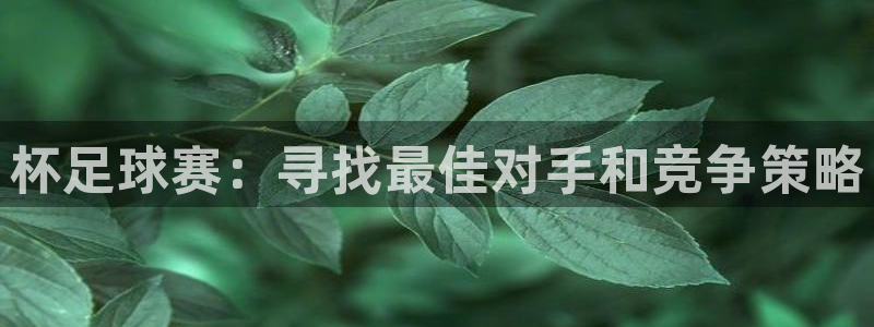 杯足球赛：寻找最佳对手和竞争策略