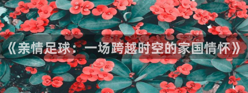  《亲情足球：一场跨越时空的家国情怀》