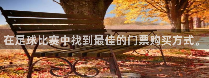 在足球比赛中找到最佳的门票购买方式。