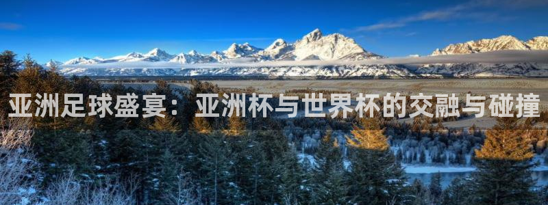  亚洲足球盛宴：亚洲杯与世界杯的交融与碰撞