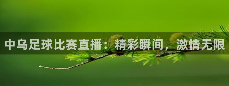 中乌足球比赛直播：精彩瞬间，激情无限