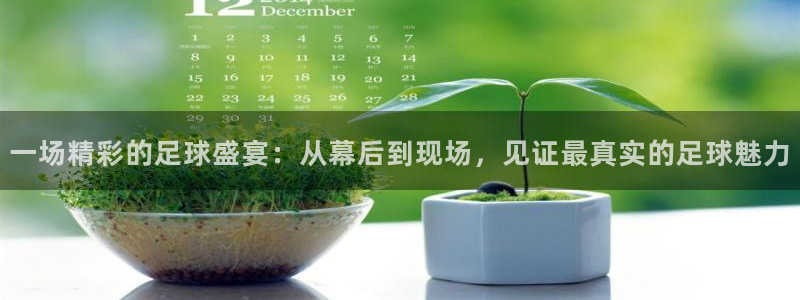 一场精彩的足球盛宴：从幕后到现场，见证最真实的足球魅力