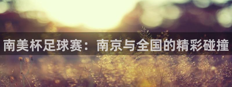 南美杯足球赛：南京与全国的精彩碰撞