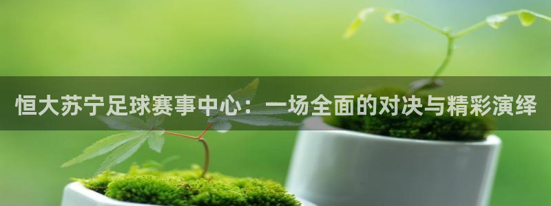 恒大苏宁足球赛事中心：一场全面的对决与精彩演绎