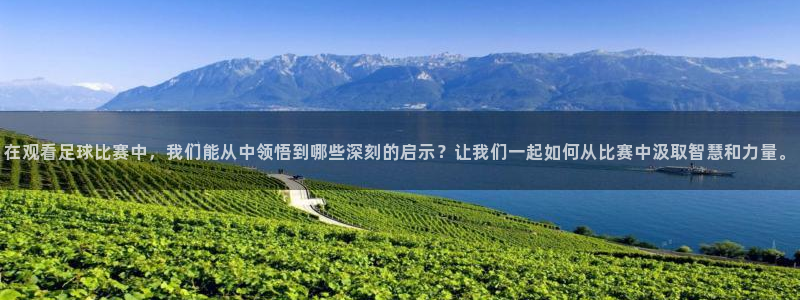  在观看足球比赛中，我们能从中领悟到哪些深刻的启示？让我们一起