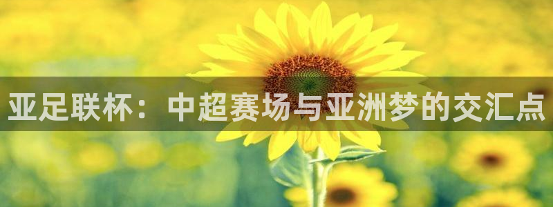 亚足联杯：中超赛场与亚洲梦的交汇点