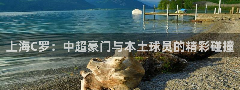  上海C罗：中超豪门与本土球员的精彩碰撞