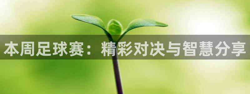 本周足球赛：精彩对决与智慧分享