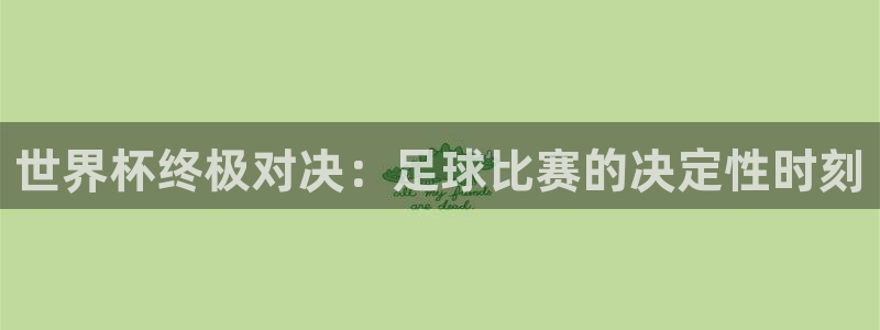 世界杯终极对决：足球比赛的决定性时刻