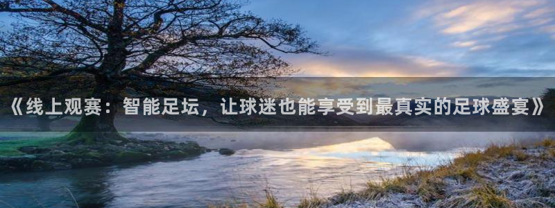 《线上观赛：智能足坛，让球迷也能享受