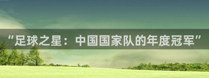 “足球之星：中国国家队的年度冠军”