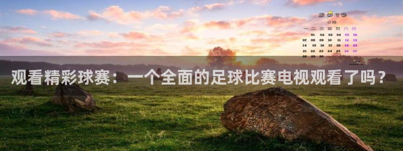 观看精彩球赛：一个全面的足球比赛电视