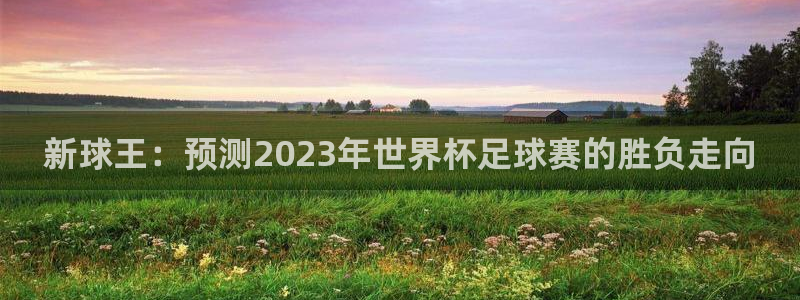 新球王：预测2023年世界杯足球赛的