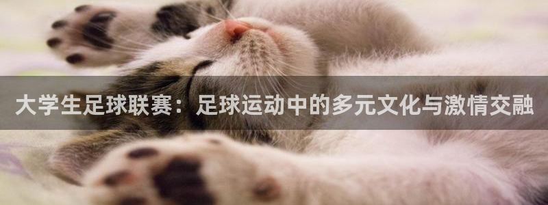大学生足球联赛：足球运动中的多元文化