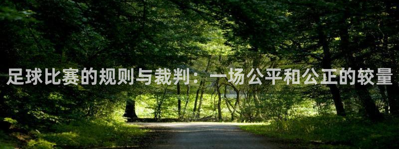 足球比赛的规则与裁判：一场公平和公正