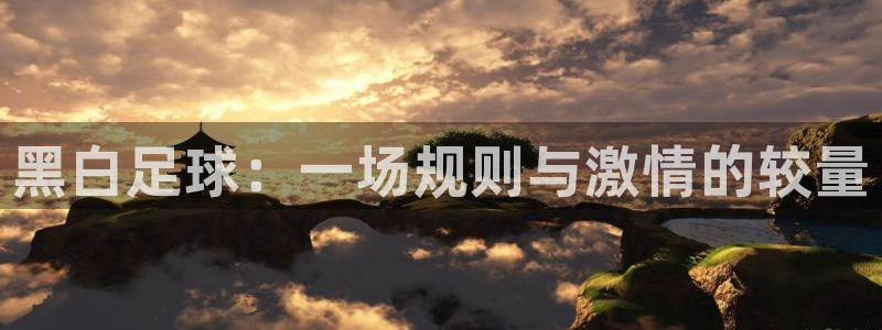 黑白足球：一场规则与激情的较量